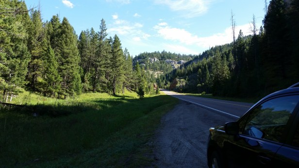 lewis-and-clark-forest-2