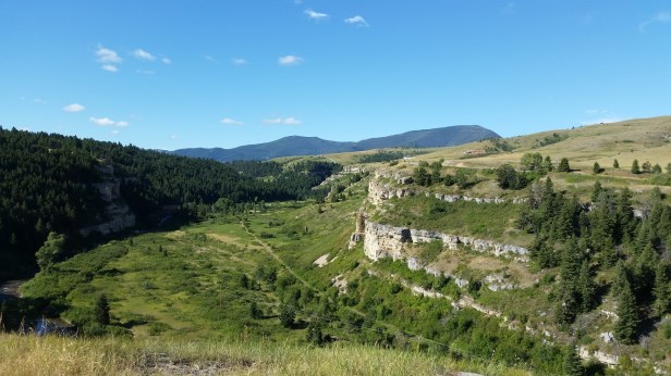 lewis-and-clark-forest