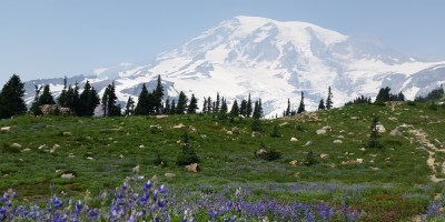 Mount Rainier National Park