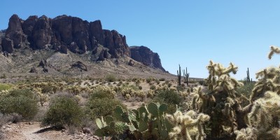Lost Dutchman State Park, Apache Junction AZ