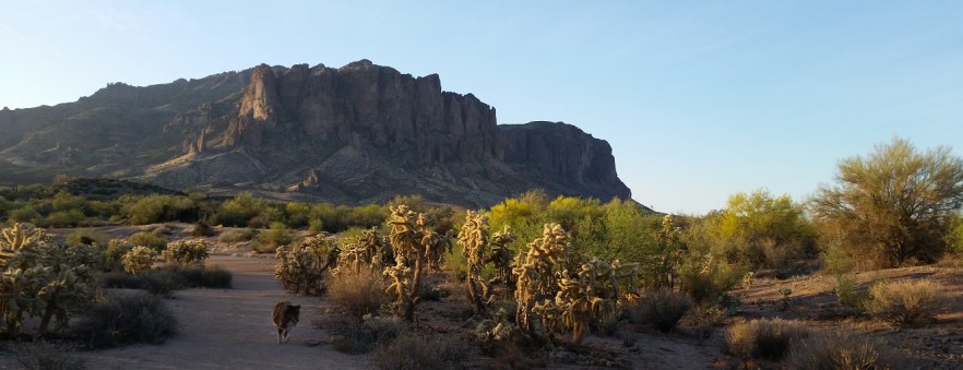 Lost Dutchman State Park
