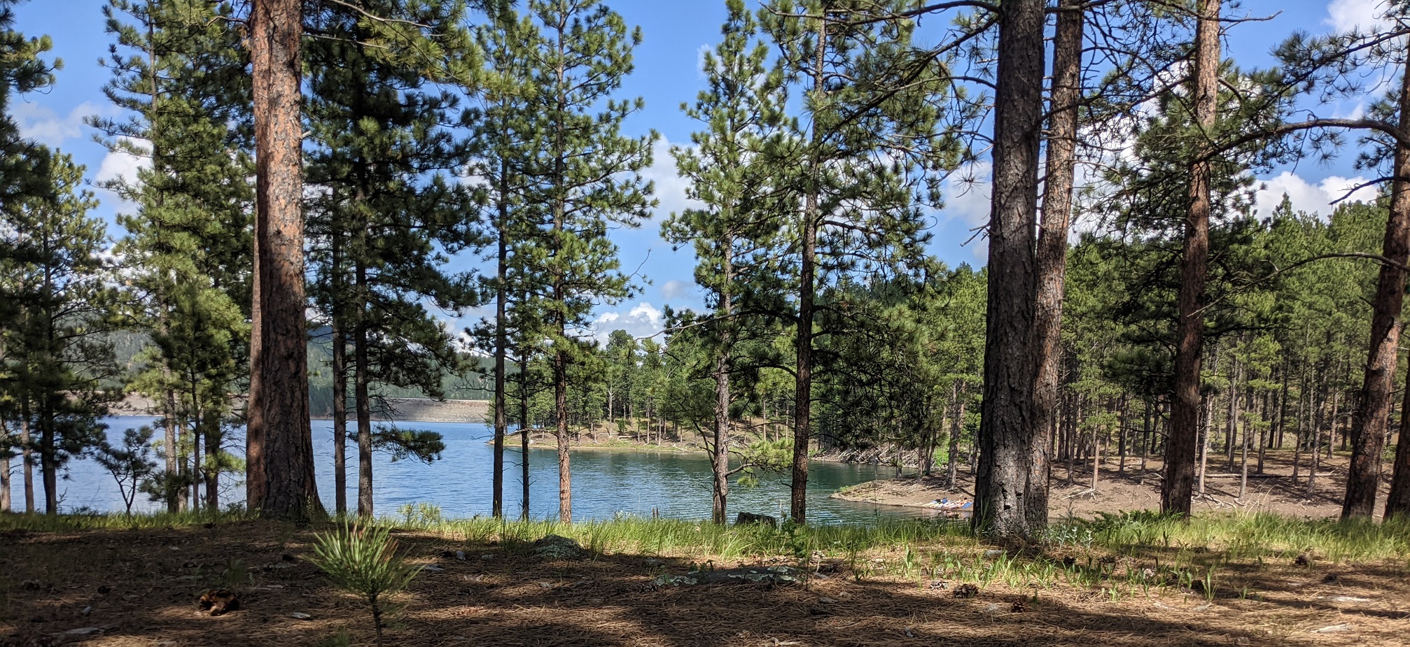 Pactola Lake Campground