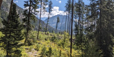 Pine Creek Trail, LIvingston MT