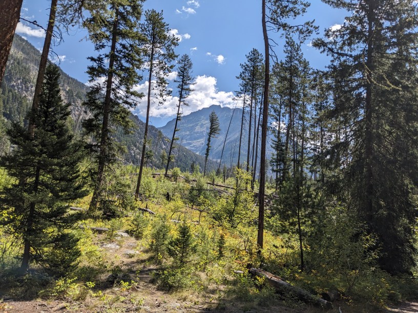 Pine Creek Trail, LIvingston MT